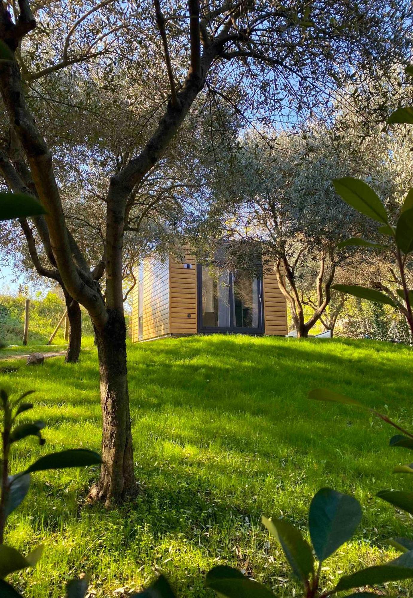 Seregnér Agricamping - Adults Only 18 - solo piazzole libere per camper, tende e roulotte Monzambano Exterior foto