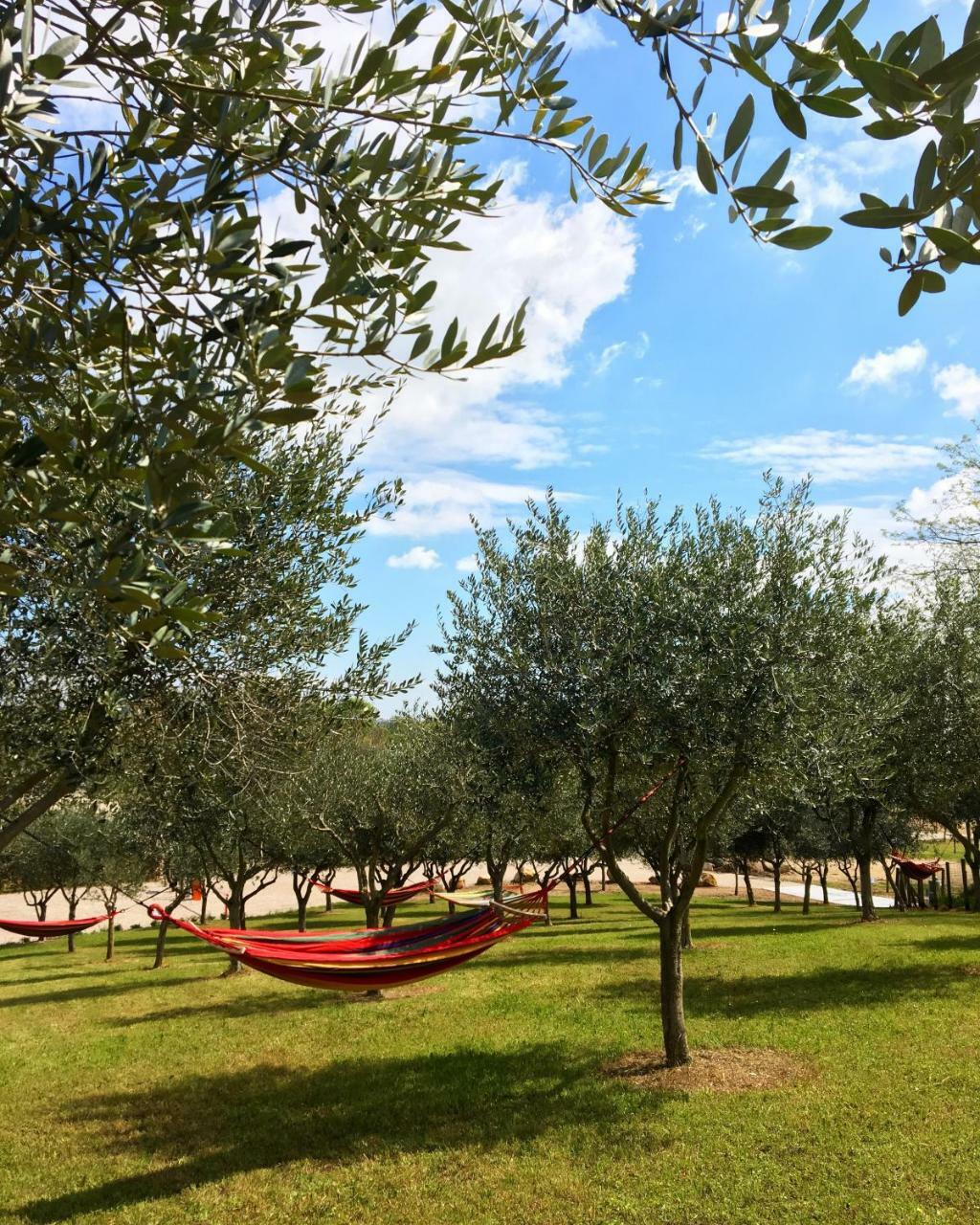 Seregnér Agricamping - Adults Only 18 - solo piazzole libere per camper, tende e roulotte Monzambano Exterior foto